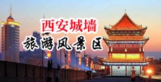透我屄深点中国陕西-西安城墙旅游风景区